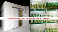 Lắp đặt kho lạnh Mini bảo quản nông sản