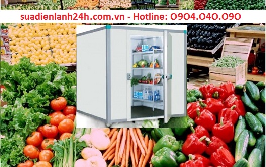 Lắp đặt kho lạnh Mini bảo quản rau củ quả